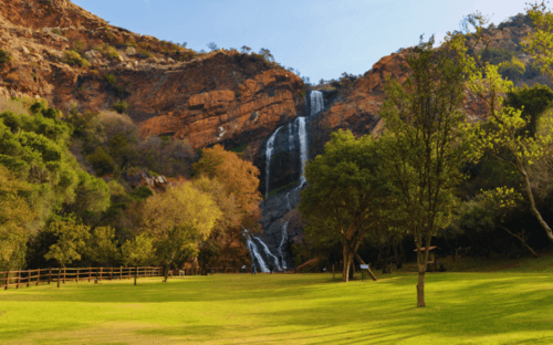 Walter Sisulu National Botanical Garden